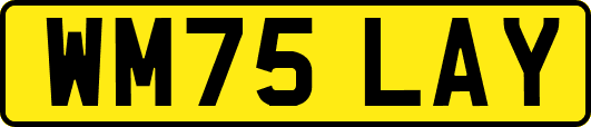WM75LAY