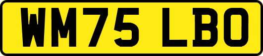 WM75LBO