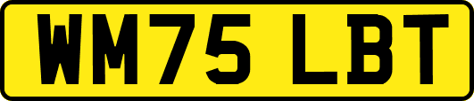 WM75LBT