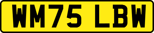 WM75LBW
