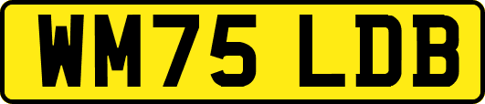 WM75LDB