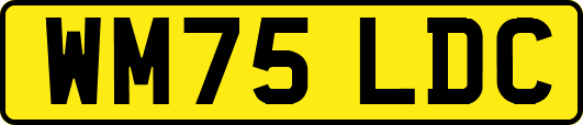 WM75LDC