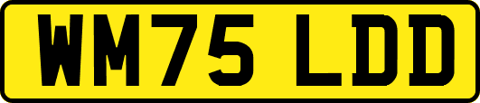 WM75LDD