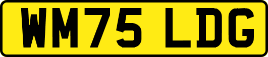 WM75LDG