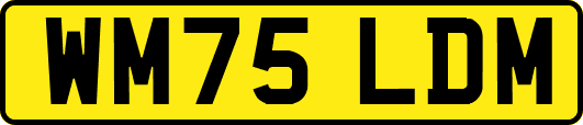 WM75LDM