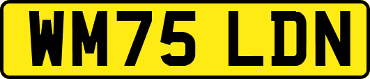 WM75LDN