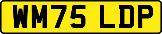 WM75LDP
