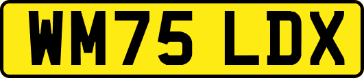 WM75LDX