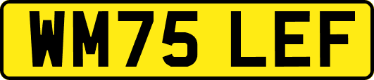 WM75LEF