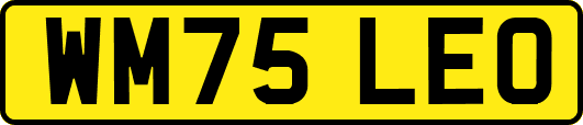 WM75LEO