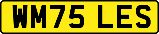WM75LES