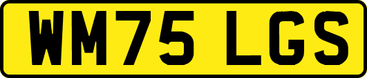 WM75LGS