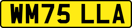 WM75LLA