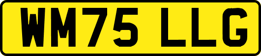 WM75LLG