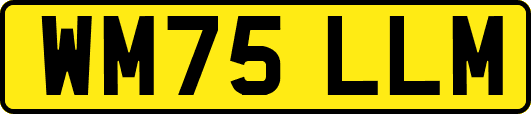 WM75LLM