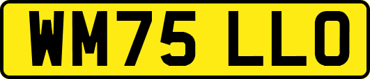 WM75LLO