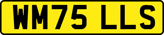 WM75LLS