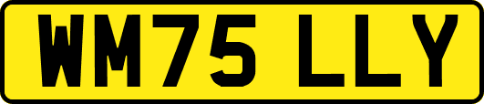 WM75LLY