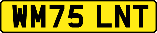 WM75LNT
