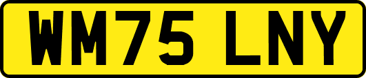WM75LNY
