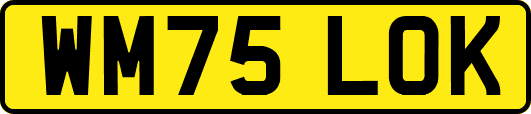 WM75LOK