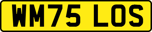 WM75LOS