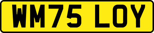 WM75LOY