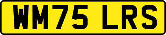WM75LRS