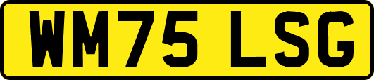 WM75LSG