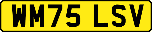 WM75LSV