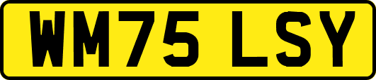 WM75LSY