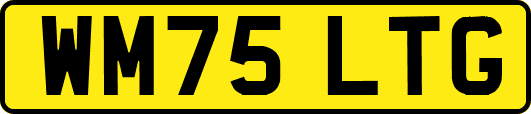 WM75LTG