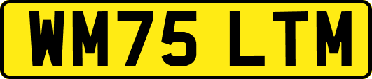 WM75LTM
