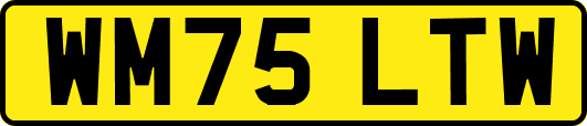 WM75LTW