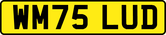 WM75LUD
