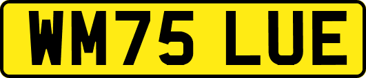 WM75LUE