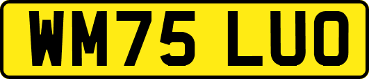 WM75LUO