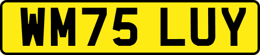 WM75LUY