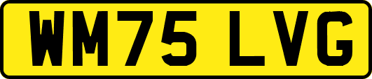 WM75LVG