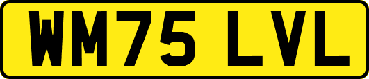 WM75LVL