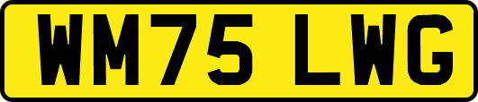 WM75LWG