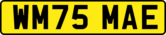 WM75MAE