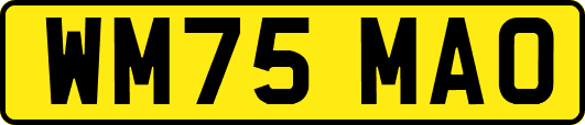 WM75MAO