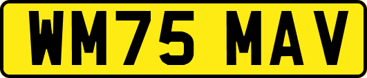 WM75MAV