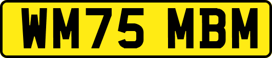 WM75MBM