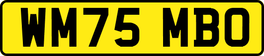 WM75MBO