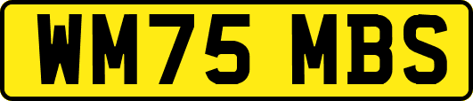 WM75MBS