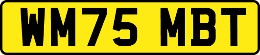 WM75MBT