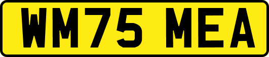 WM75MEA