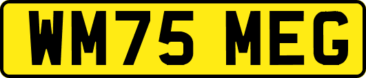 WM75MEG